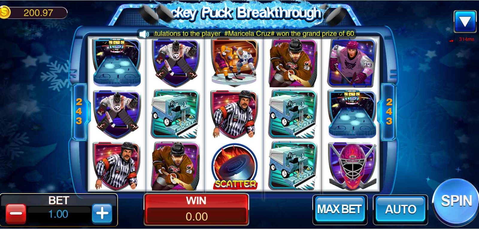 Hockey Puck 6