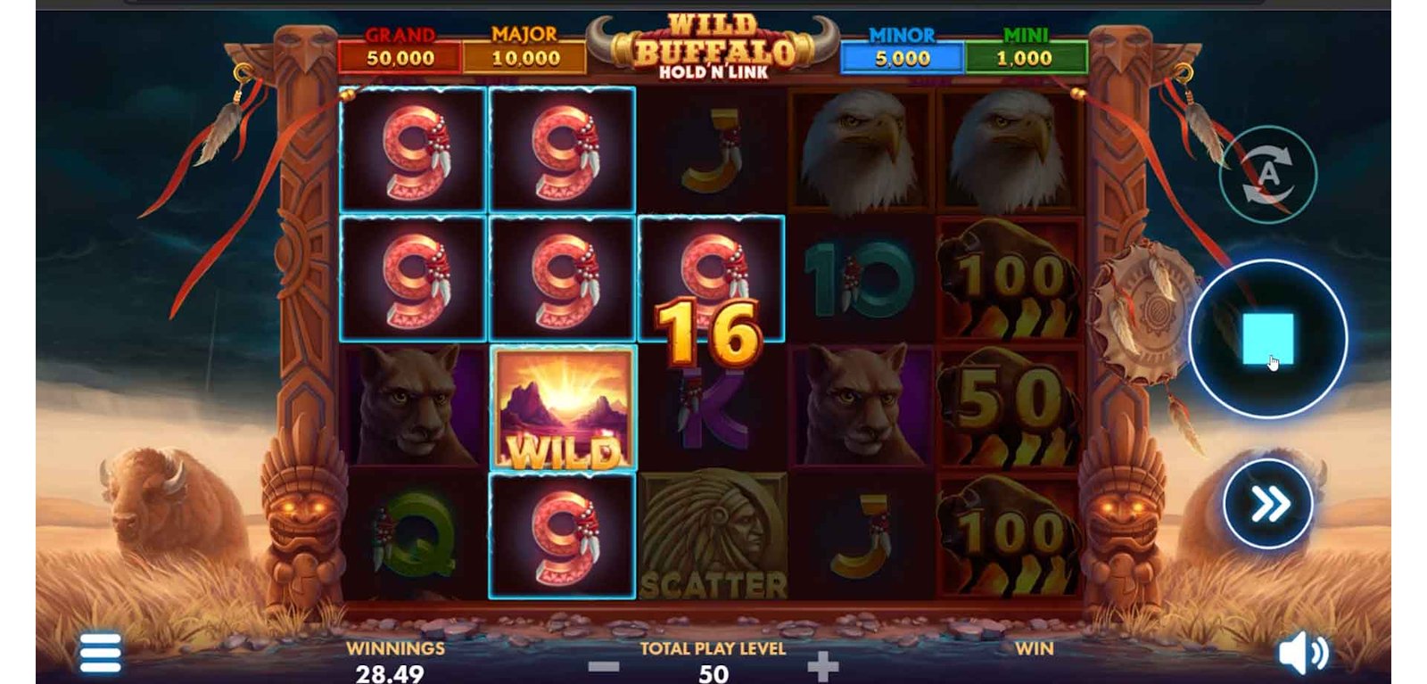 Wild Buffalo 1