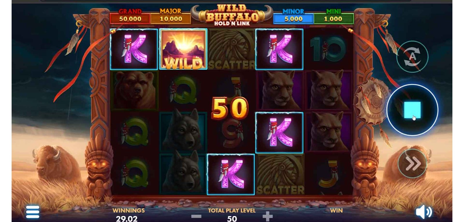 Wild Buffalo 6