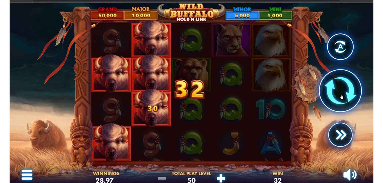 Wild Buffalo 5