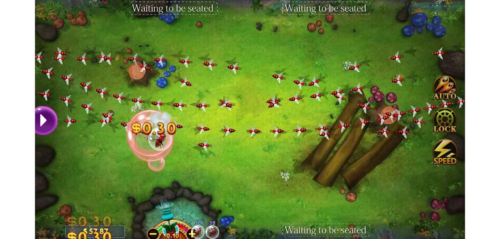 Insect Paradise 5