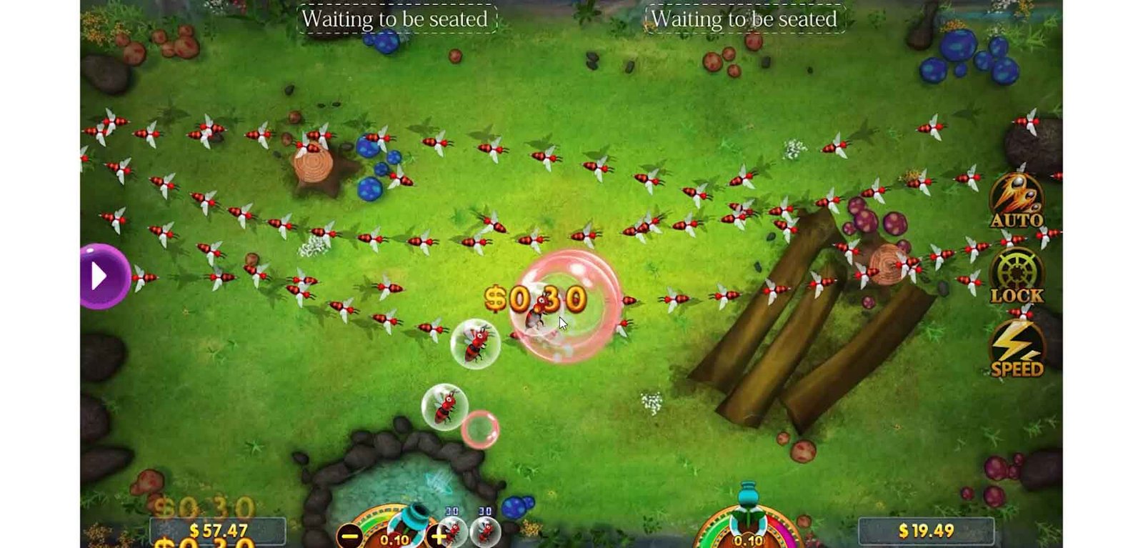 Insect Paradise 4
